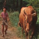 대흥철물 이미지