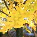 백의초등학교 이미지