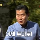 이연복 셰프의 가정식 중화요리 토마토 계란 볶음 레시피 이미지