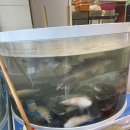 쓰리에이치 제기역센터 | [서울 동대문] 경동시장 제철 회 맛집 '전시회 제기본점' 잔상모둠 포장