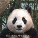 삼삼치킨 - 서대문구 응암로 90 | 삼삼치킨