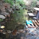 기우농장 이미지