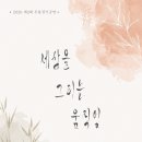 2020 충청북도댄스연맹 무용정기공연 ''세상을 그리는 움직임'' 네이버블로그