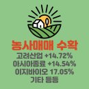 에스이네트웍스