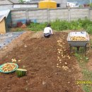 만지 농장 이미지