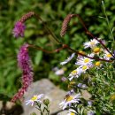 바람결-시간의 흐름 이미지