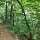 천주산 입구 Daum카페