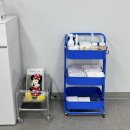 구암동501 | 콩누 스튜디오 :: 대구 반려견 컨셉 스튜디오_크리스마스 컨셉 사진 후기