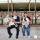 데미샘꿈그린 이미지