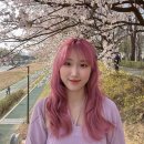 [Airwarp] 에어랩 id 멀티 스타일러 (빈카블루 토파즈) 에어랩 아이디 후기
