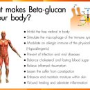 (주)글루칸 이미지