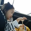 유로베아