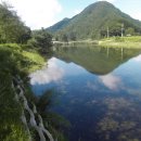 번개농장 이미지