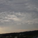 채운