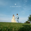 웨딩 스튜디오부터 서울 야외스냅까지 | 가성비로 유명한 모스앤코튼에서 웨딩촬영 6시간 패키지 후기