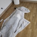 새천년주유소 | 20250822~0824: 삼척 여행 (부제: 이보다 더 좋을 순 없다)