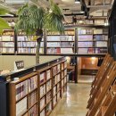 놀숲만화카페 이미지