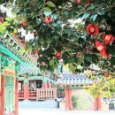 바다그리기 민박 이미지