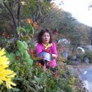 두척계곡 이미지