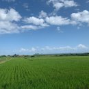 믿음태양광발전소 이미지