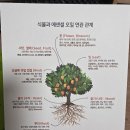 도테라학교 11기 오프라인 참석 후기