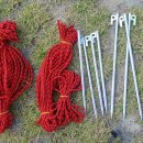 블랙쉐도우(Black Shadow) 이미지