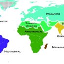 An Update of Wallace's Zoogeographic Regions of the World 2012 이미지