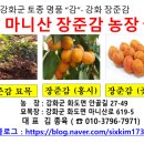 장준농장 이미지