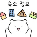 게스트하우스 정글 민박 이미지