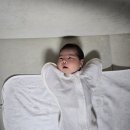 소나무커피 - 성동구 뚝섬로 400 | 소나무커피