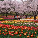 제주영상여행사 이미지