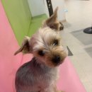 주견야독 이미지