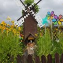 경주 수약국 이미지