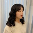플랜헤어 이미지