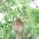 피트니스&유 이미지