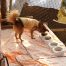 삼광사료 이미지