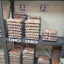 가좌농장 | [인천 서구] 농장에서 직송되는 신선한 유정란 파는 곳 인천계란