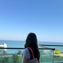 여행 내내 들고 다닌 모니크 가방 4종 후기｜루이백·몽크백·플랩백·파우치백