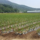 ㈜서진기업 이미지