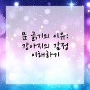 삼정동물병원 | 해운대동물병원 강아지 행동문제 해결법