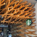 이명호 | 후쿠오카 버스투어 내돈내산 후기ㅣ유후인 벳부 다자이후 유후다케