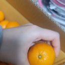 범수네농장 이미지