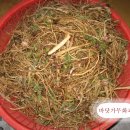 바닷가농원 이미지