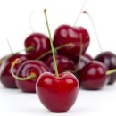 체리 이미지