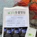 오엠동물병원 이미지
