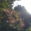 어린이대공원 이미지