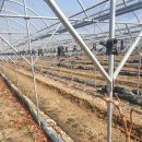 이성재 농장 이미지