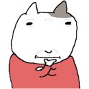 호애환경 | 실습가서 맨날 숨어있는 화장실 마스터 아줌마