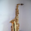 춘천 소리샘 Saxophone 제 1회 합창 연주때 나에게 꽃다발을 준 에덴의 동쪽님 이미지