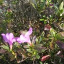 정섭농장 이미지